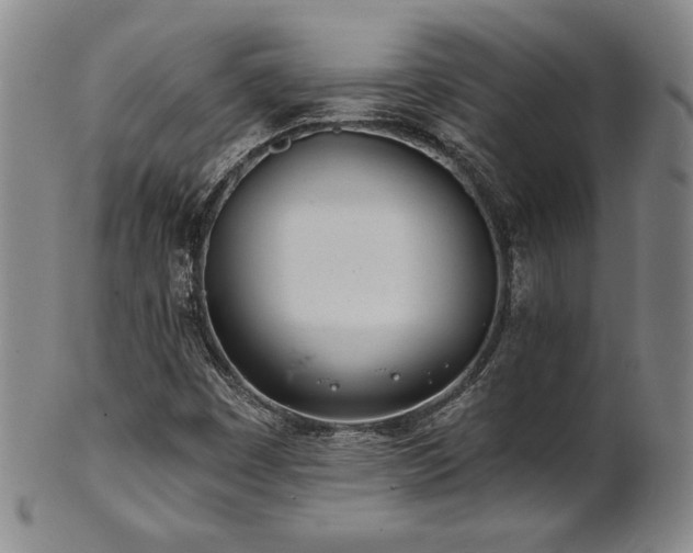 X0000101701449200807101525