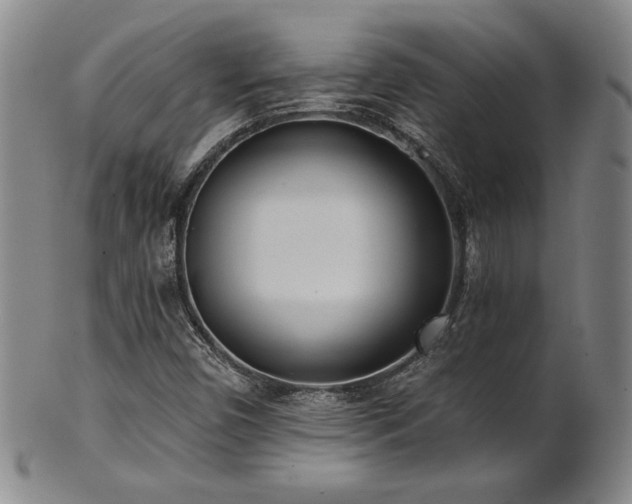 X0000101701450200807101525