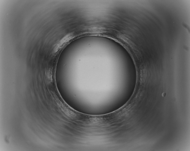 X0000101701451200807101525