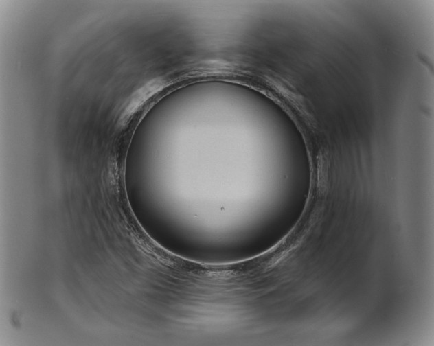 X0000101701453200807101525