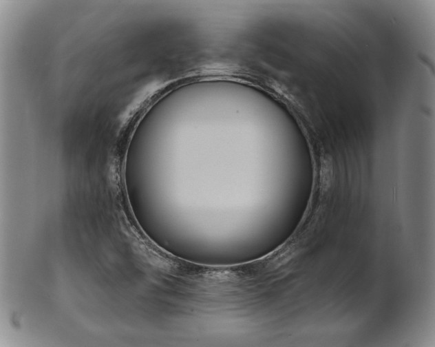X0000101701454200807101525