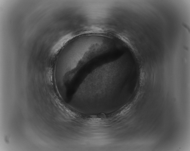 X0000101701455200807101525