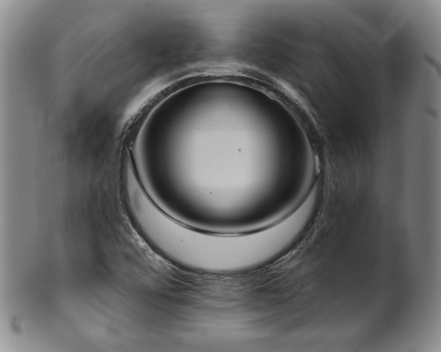 X0000101701456200807101525
