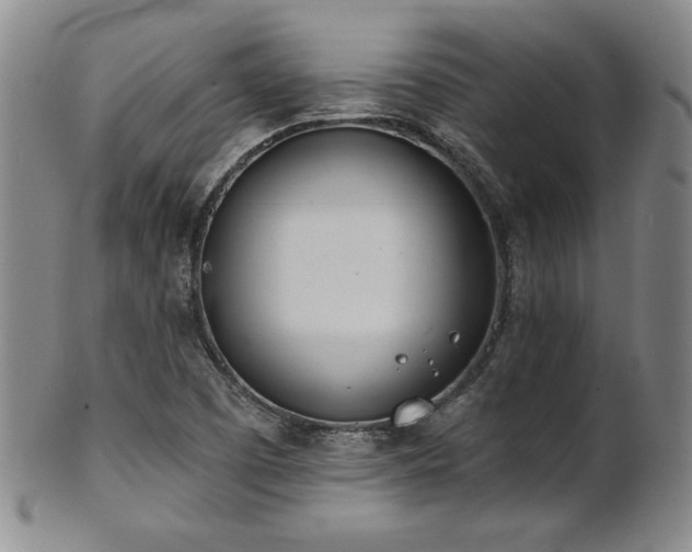 X0000101701457200807101525