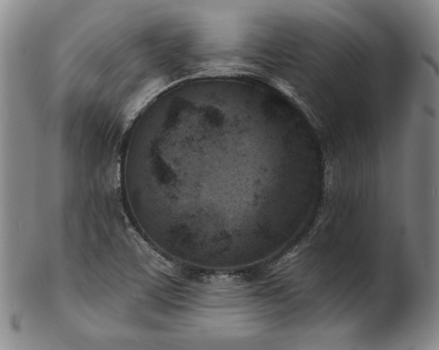 X0000101701459200807101525