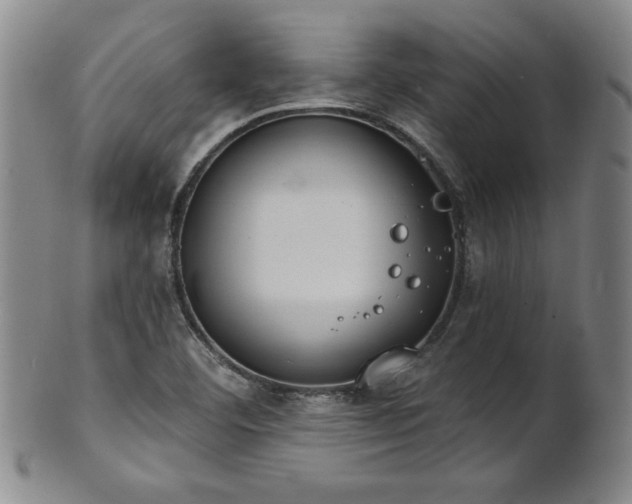 X0000101701460200807101525