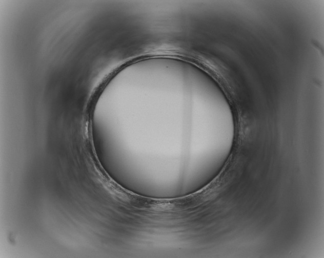 X0000101701462200807101525