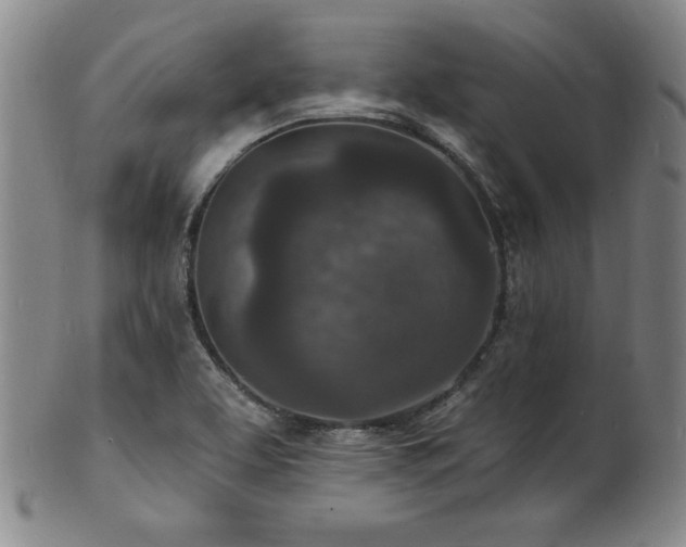 X0000101701463200807101525