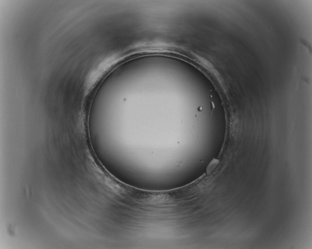 X0000101701464200807101525