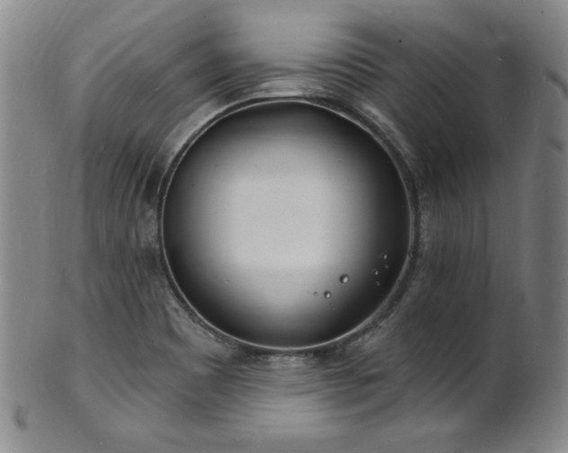X0000101701465200807101525