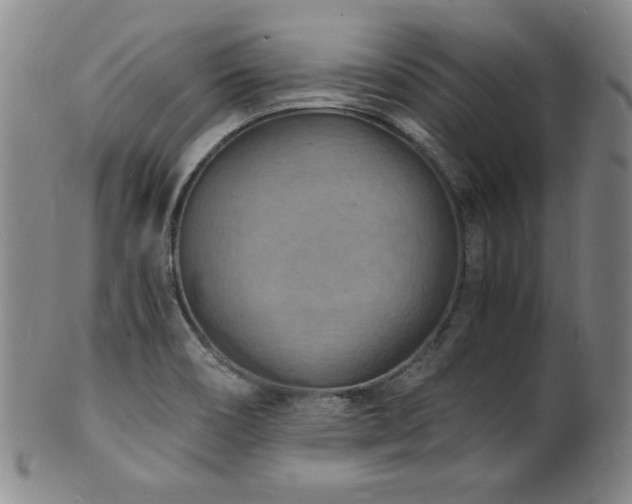 X0000101701466200807101525