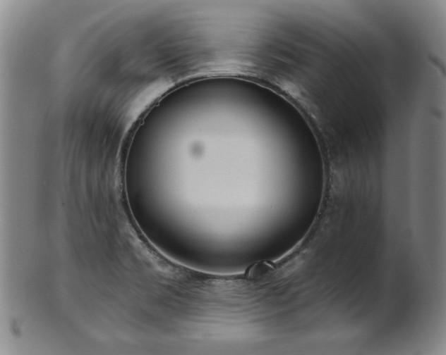 X0000101701469200807101525