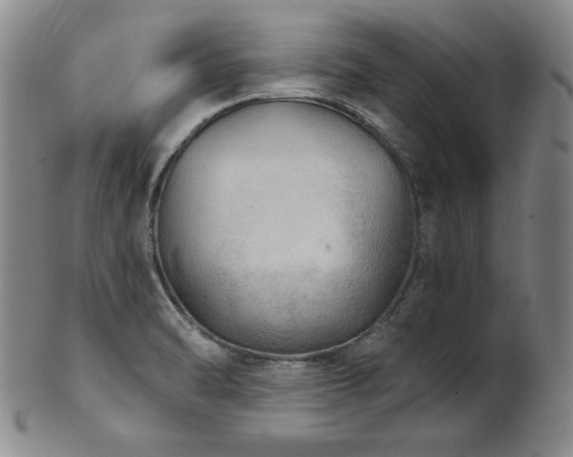 X0000101701470200807101525