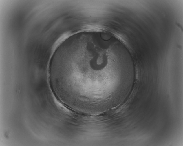 X0000101701471200807101525