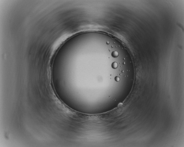 X0000101701472200807101525