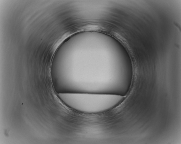 X0000101701473200807101525