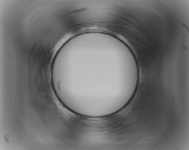 X0000101701474200807101525