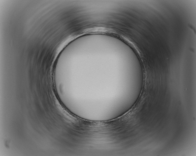 X0000101701475200807101525