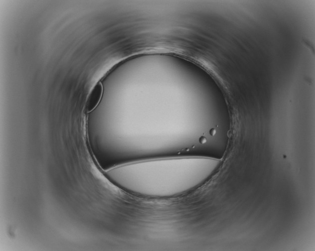 X0000101701476200807101525
