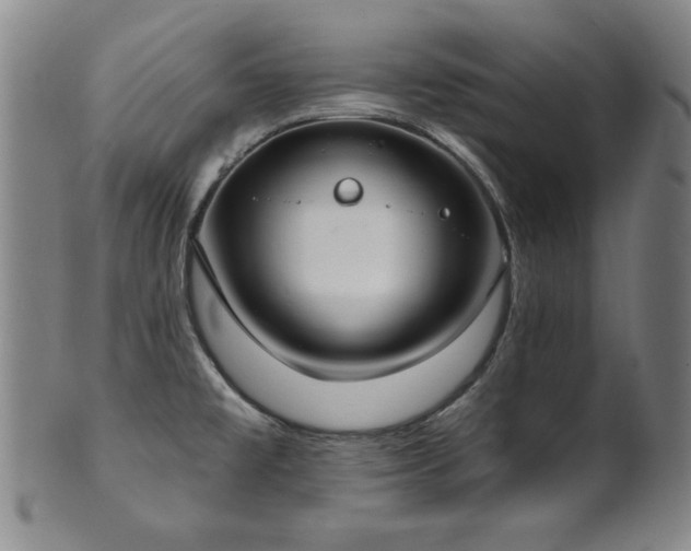 X0000101701477200807101525