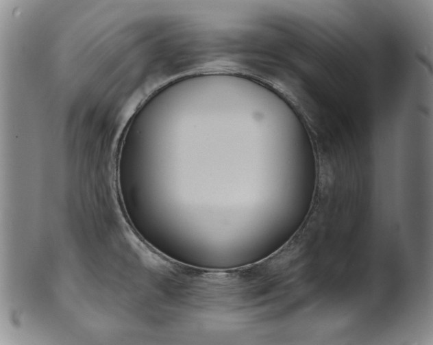X0000101701478200807101525
