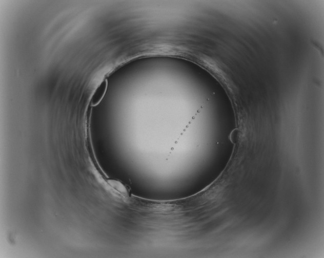X0000101701479200807101525