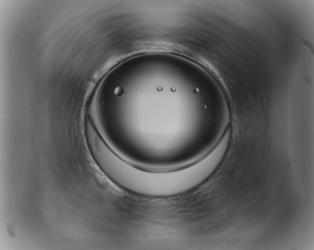 X0000101701480200807101525