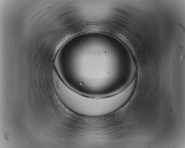 X0000101701481200807101525
