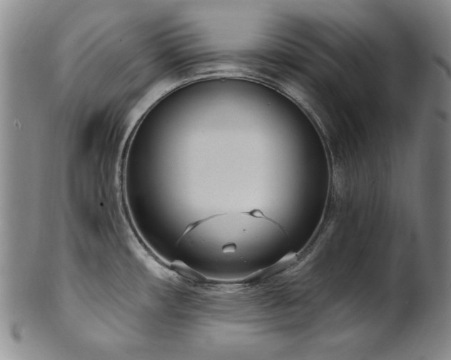 X0000101701482200807101525
