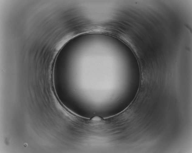 X0000101701483200807101525