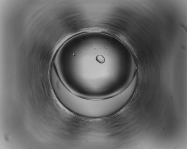 X0000101701484200807101525