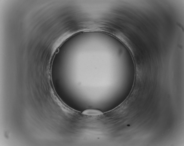 X0000101701485200807101525