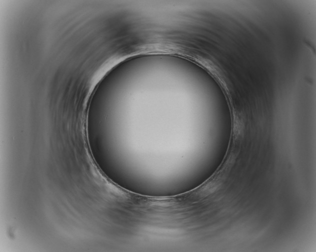 X0000101701486200807101525