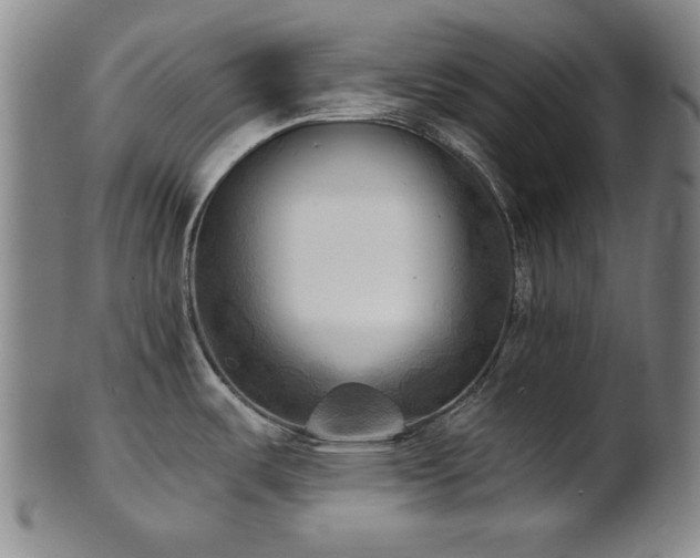 X0000101701487200807101525