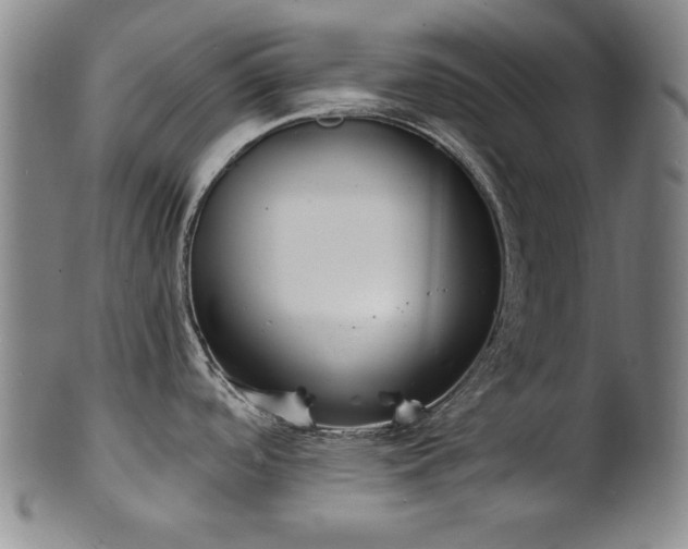 X0000101701488200807101525