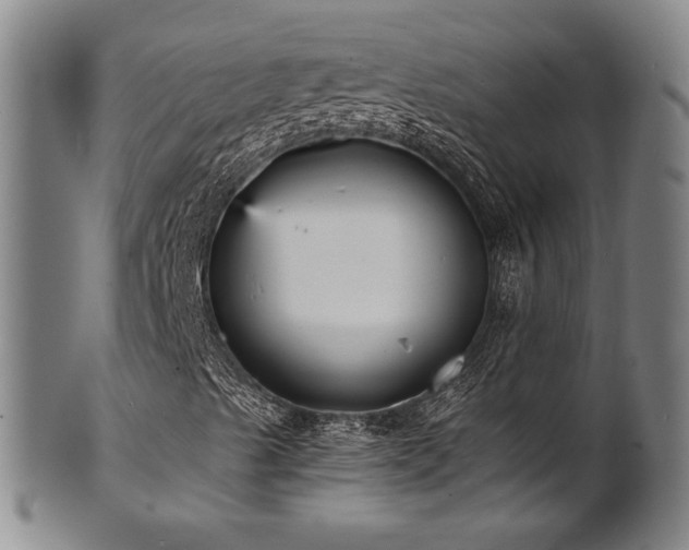X0000101701489200807101524