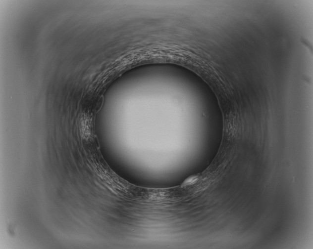 X0000101701490200807101524