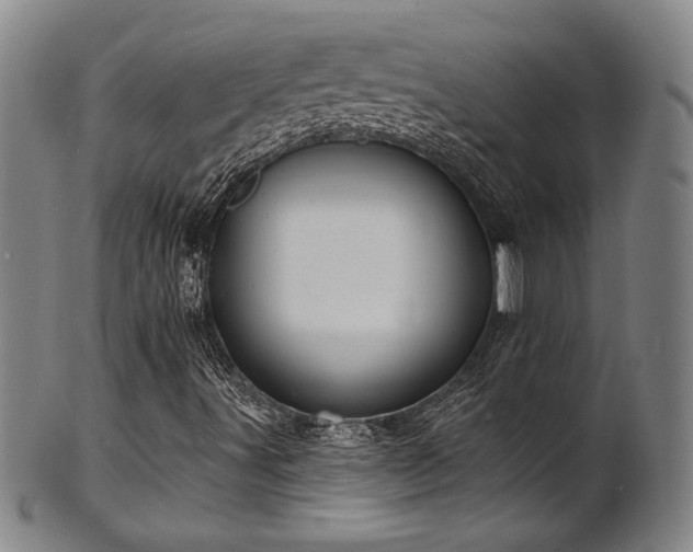 X0000101701491200807101524