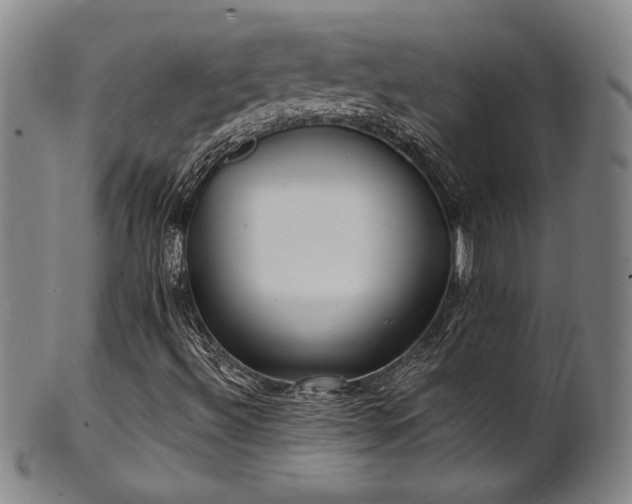X0000101701492200807101524