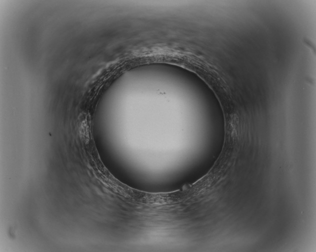 X0000101701493200807101524