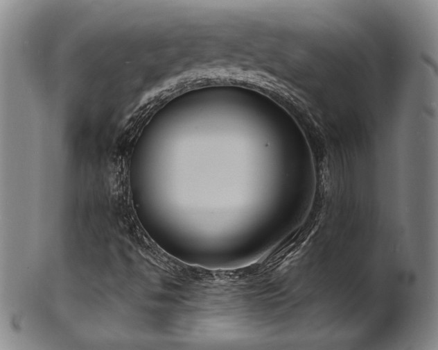 X0000101701494200807101524