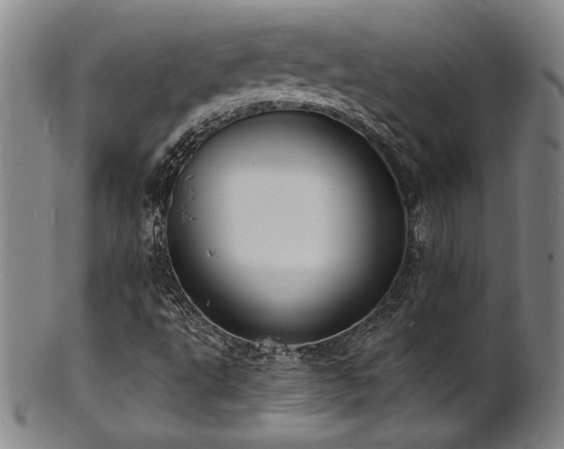 X0000101701495200807101524