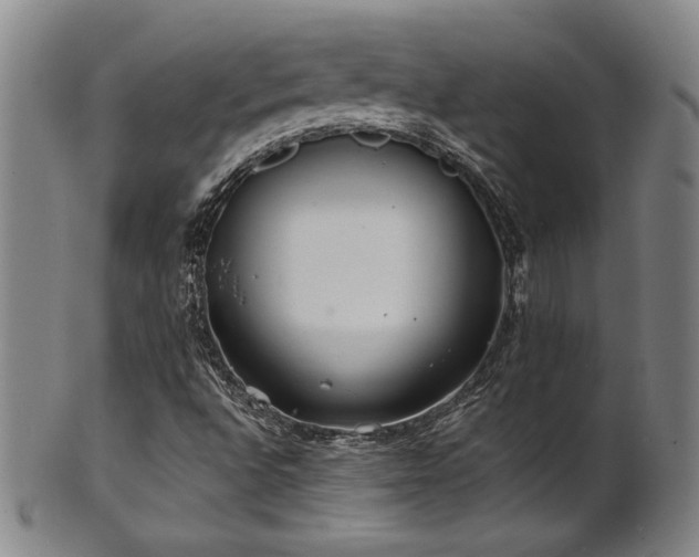 X0000101701496200807101524