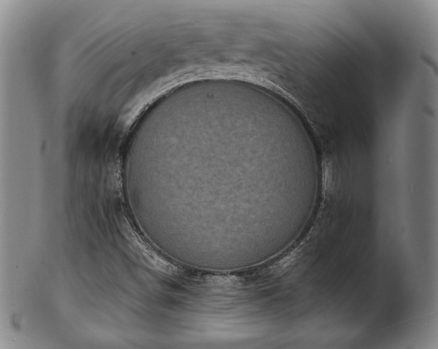 X0000101701498200807101524