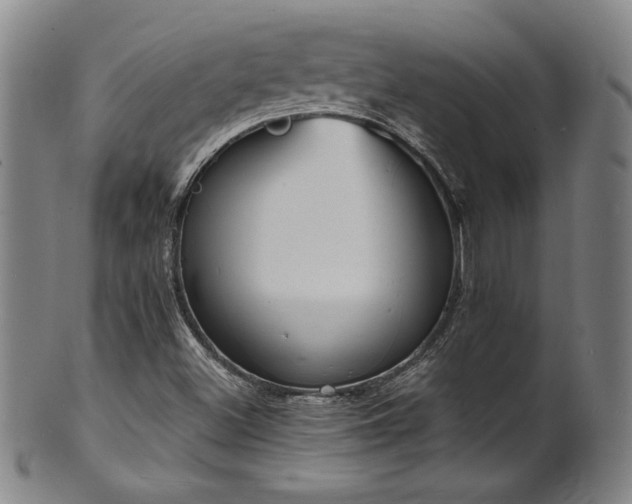 X0000101701500200807101524