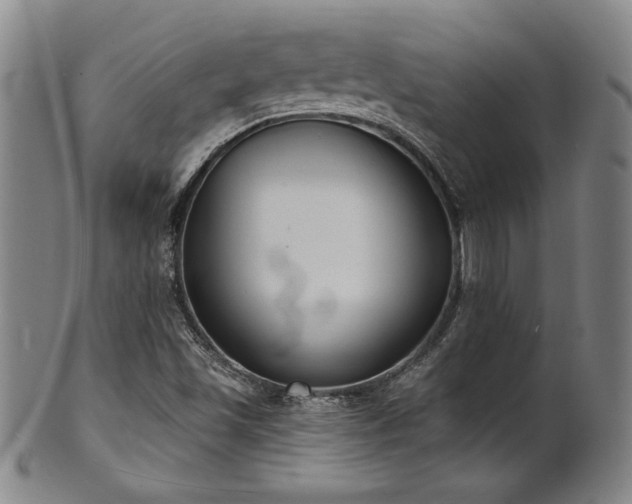 X0000101701501200807101524