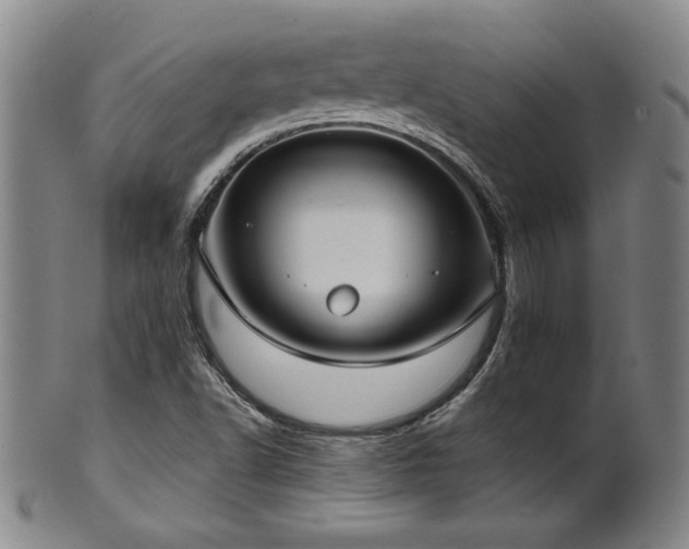 X0000101701502200807101524