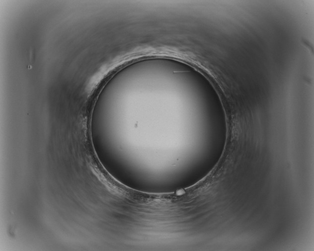 X0000101701503200807101524