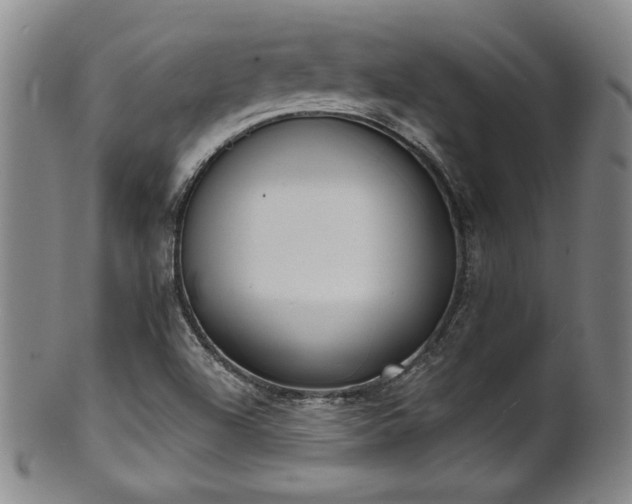 X0000101701504200807101524