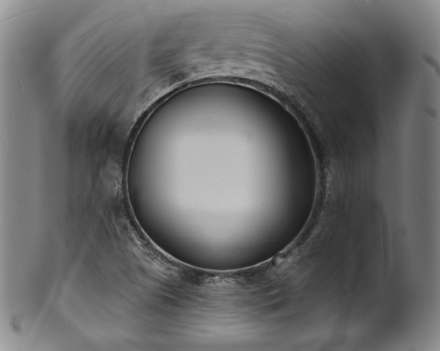 X0000101701505200807101524